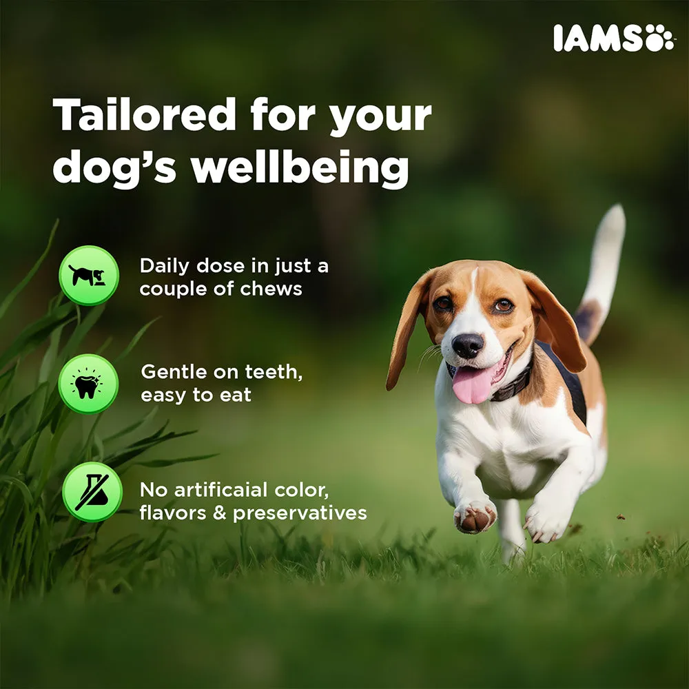 IAMS Proactive Health Dog Supplement For Joint Support (Limited Shelf Life)